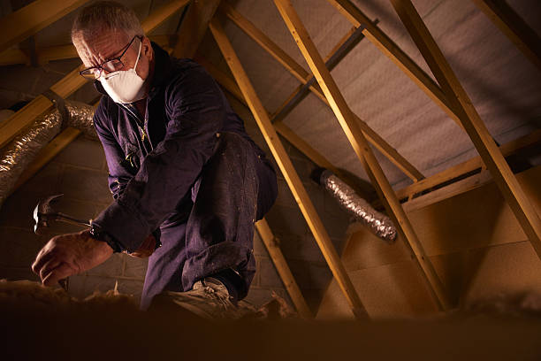 Best Insulation for New Construction  in Glendora, NJ